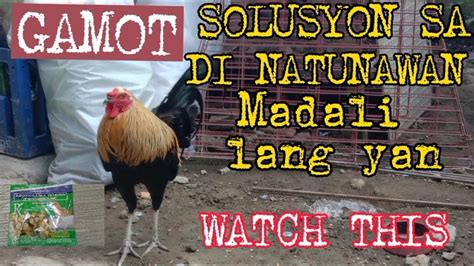 gamot sa manok na hindi natunawan|ANO MABISANG GAMOT O LUNAS SA IMPATSO O .